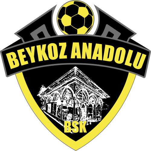 SİNCAN BELEDİYESİ ANKARASPOR